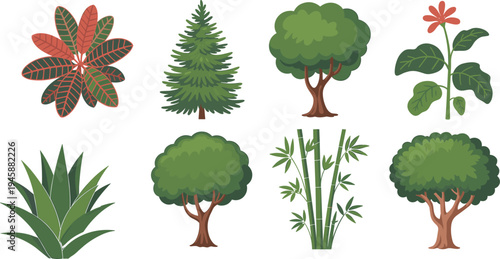 Various types of green plants and trees with red and green leaves and flowers