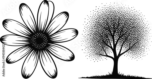 WebBlack and white flower head and tree silhouette vector set, nature elements design, blooming daisy and leafy tree isolated on white.