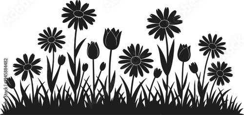 WebBlack silhouette of garden flowers and grass meadow with daisies and tulips isolated on white background for spring nature design.