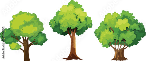WebGreen tree vector illustration set, different summer deciduous trees with green leaves and brown trunks isolated on white background, design.