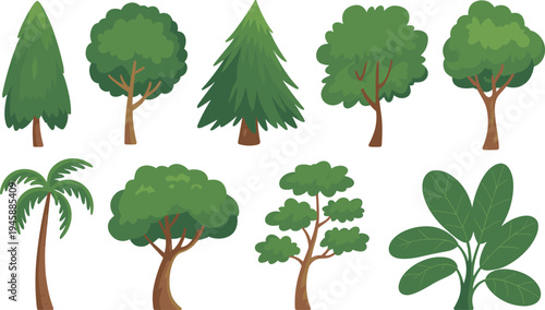 WebVector illustration of diverse tree silhouettes, tropical palm, leafy plant, coniferous forest, broadleaf canopy, botanical design, nature art, greenery