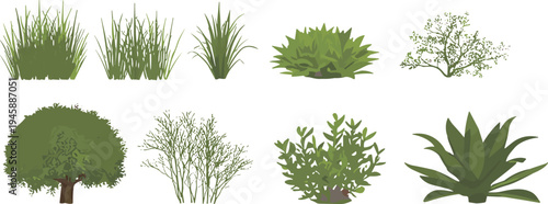 WebVector illustration set of green garden shrubs, wild grass, bushes, and ornamental plants isolated on white background for landscape design,