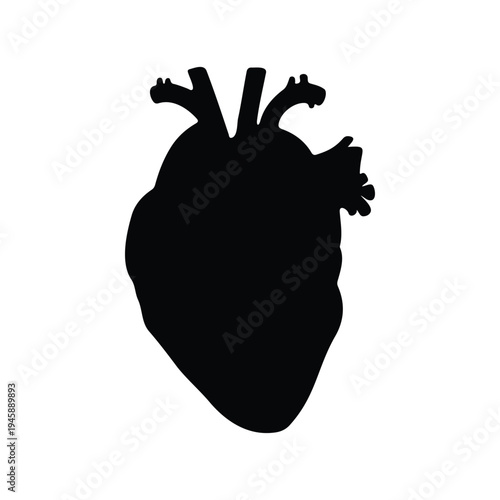 Human heart silhouette icon vector flat design.