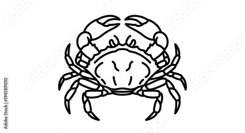 Black and white illustration of a crab isolated on a white background