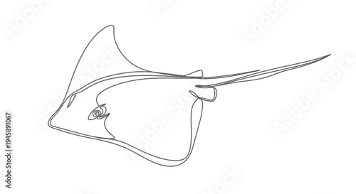 Minimalist line drawing of a stingray isolated on white background