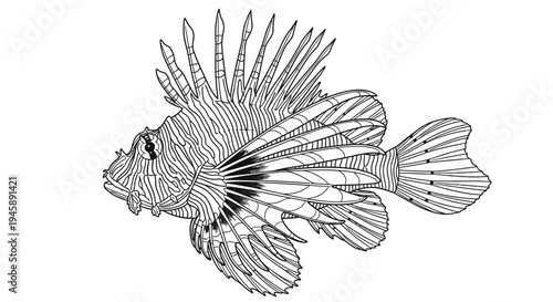 Intricate black and white line art illustration of a lionfish against white backdrop