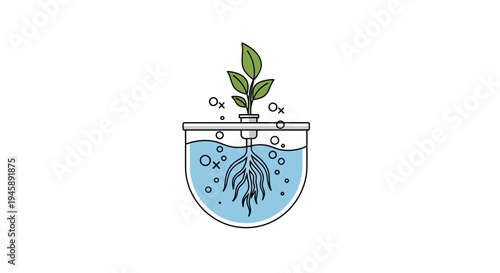Fish swimming in a plant pot.