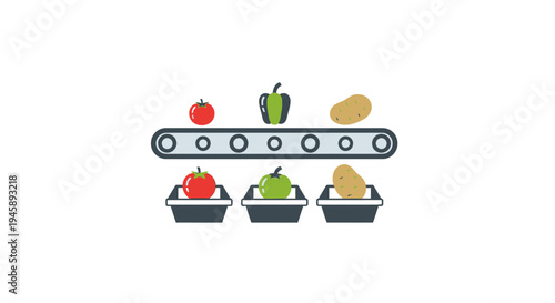 Food Sorting Conveyor Belt System.