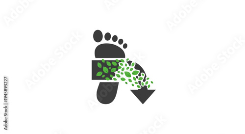 Foot with green leafy band.
