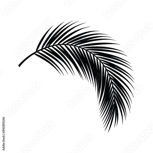 A single palm frond depicted in a minimalist black and white style