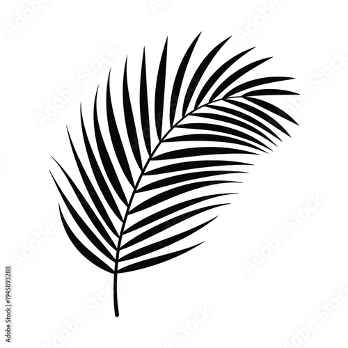 A stylized black and white illustration of a single palm leaf