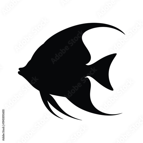 A striking black silhouette of an angelfish swimming gracefully