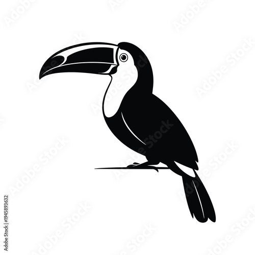 A striking black and white illustration of a toucan in profile
