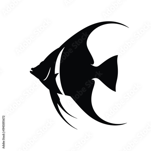 Elegant black silhouette of an angelfish swimming gracefully in water