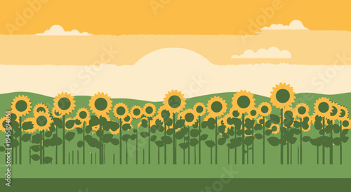Sunflowers in a field at sunset illustration with green hills and clouds