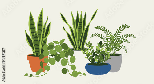 Various potted plants illustration for design and decorative concepts