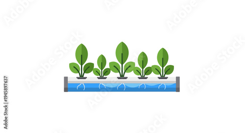 Green plants growing in water.