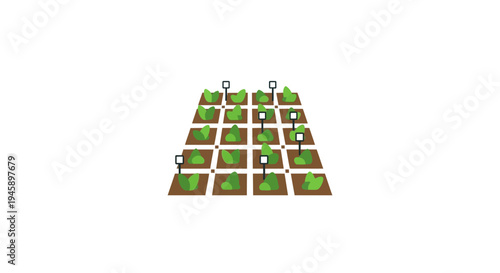 Green plants in square pots stacked.