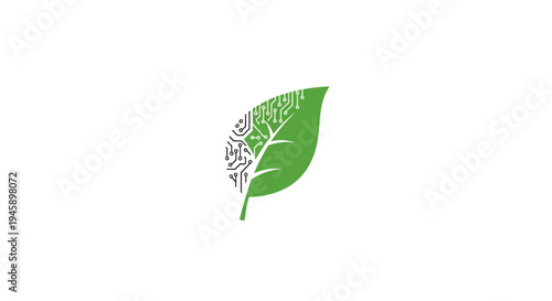 Green leaf with white veins pattern.