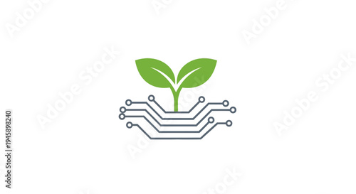 Green plant growing from circuit board.