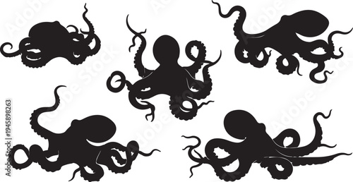 Octopus Silhouette Set Marine Sea Animal Collection Vector Illustration