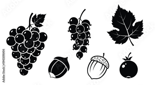Black silhouettes of grapes leaves acorns and berries on white background