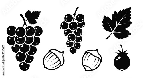 Black fruit and nut collection depicted in a striking silhouette