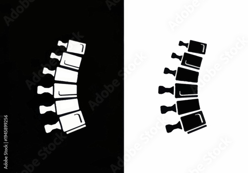 Spine Anatomy Illustration of Vertebrae and Disks in Human Body