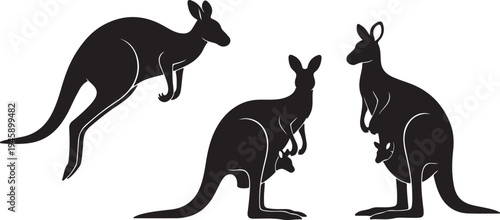 Kangaroo Silhouette Set in Different Poses Australian Wildlife Vector Illustration