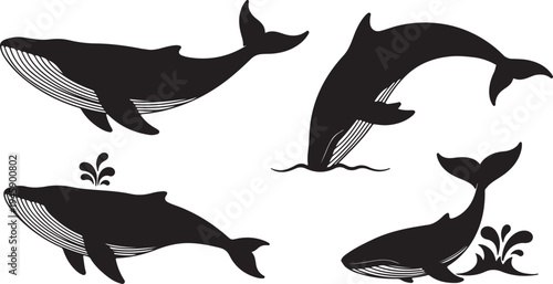 Humpback Whale Silhouette Vector Set - Jumping and Spouting Marine Life Icons
