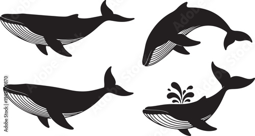 Humpback Whale Silhouette Vector Set - Jumping and Spouting Marine Life Icons
