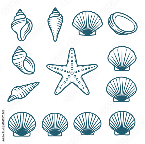 Collection of Stylized Seashells and Starfish
