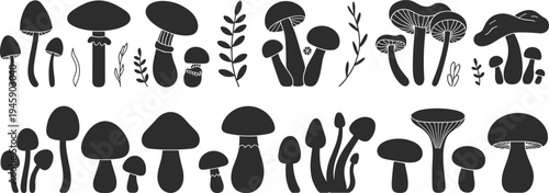 Collection of mushroom and fungus silhouettes including forest plants and wild toadstools for nature-themed graphic design and illustrations