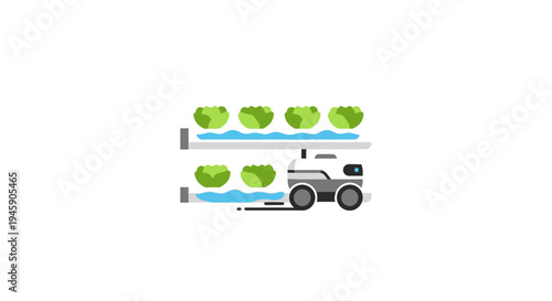 Lettuce Harvester Machine in Action.