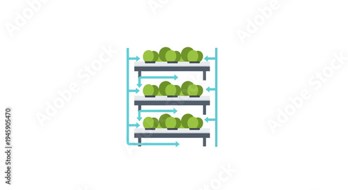 Lettuce on shelves in greenhouse.