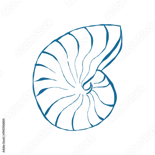 Round seashell in doodle style. Sea snail shell in blue. Twisted spiral shell. Hand drawn vector outline illustration isolated on white background.