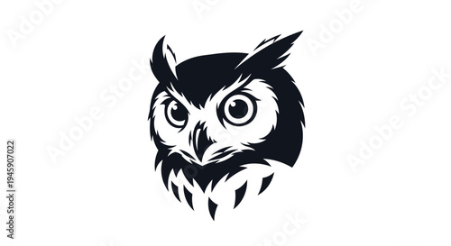 Owl Face Close Up Portrait.