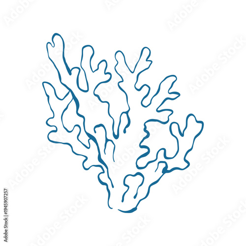Vector illustration of a coral in blue lines. Marine reef flora isolated on a white background. Vector outline design element for a marine theme.