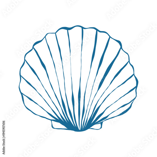 Seashell in doodle style. Sea snail shell in blue. Hand drawn vector outline illustration isolated on white background.