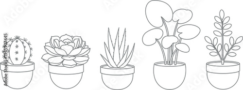 A clean black and white line art illustration depicting five different types of popular potted house plants arranged horizontally.