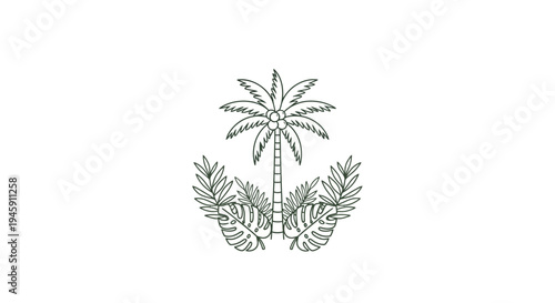 Palm tree with leafy branches illustration.