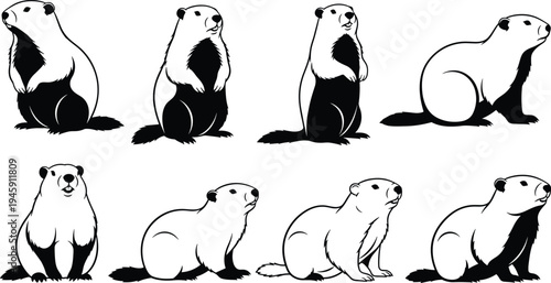 Groundhog silhouette collection, marmot figure outline, wildlife posture design, animal illustration motif, rodent nature icon, burrowing creature art