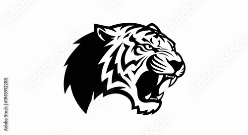 Fierce black and white tiger head roaring with sharp teeth and stripes