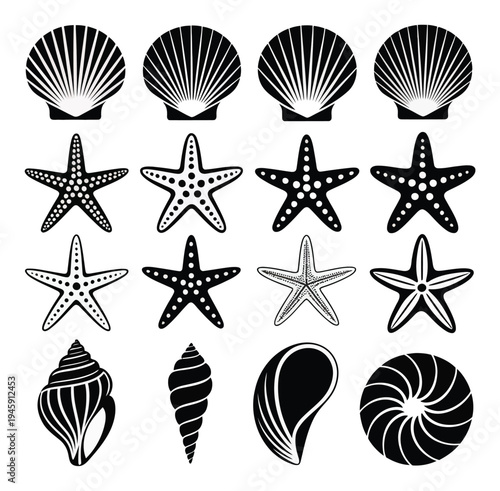 Collection of Black and White Seashell and Starfish