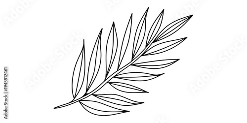 Simple black and white line art illustration of a single tropical palm frond or leaf branch Vector, illustration