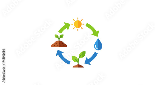Plant Growth Cycle Life Process.