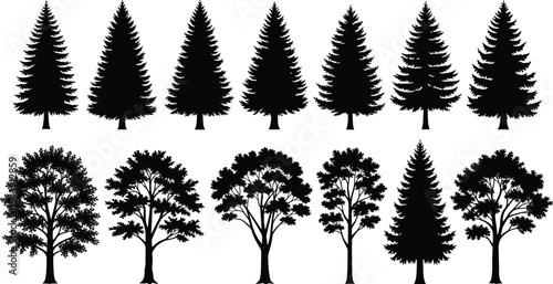 Tree silhouette illustration set, coniferous deciduous forest artwork, botanical nature vector drawing, landscape design concept