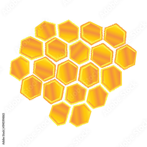 honeycomb and honey