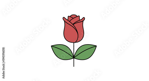 Red Rose Flower with Green Leaves.