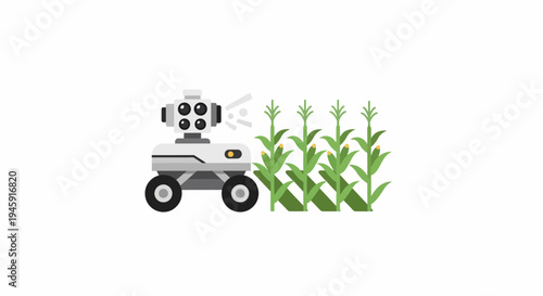Robot inspecting corn plants closely.